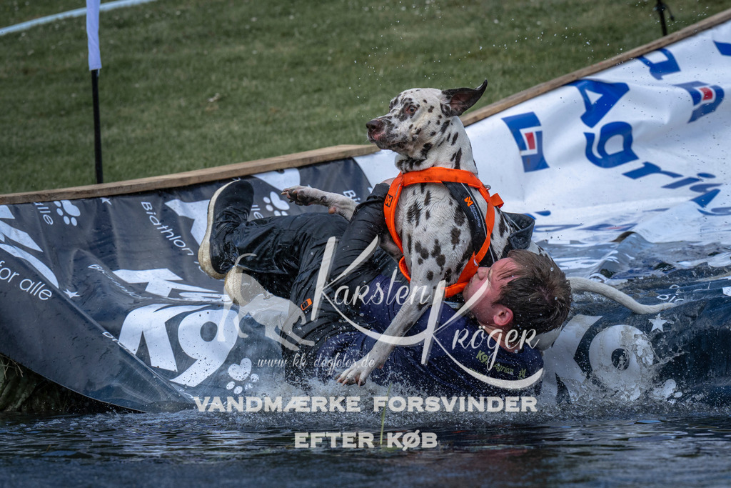 1107_ZZ91033 | kk-dogfotos