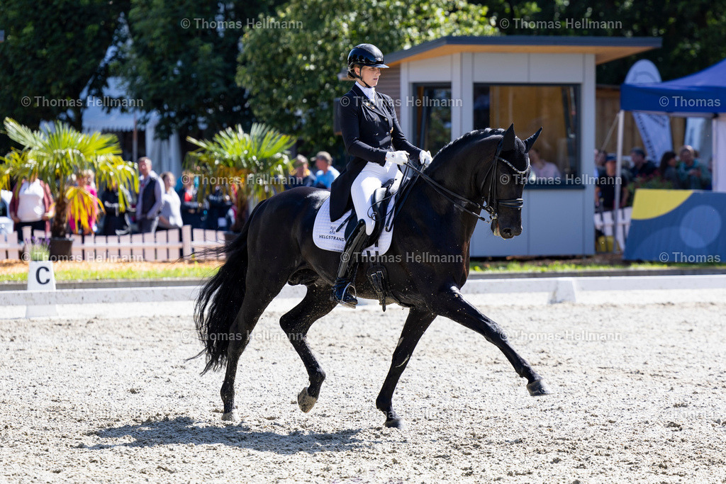 TH_1949 Lord Europe (GER) Leonie_ Richter _10364 | Elmloher Reitertage 2023 am 30.07.23 in Elmlohe, 1949 Lord Europe (GER) Leonie, Richter