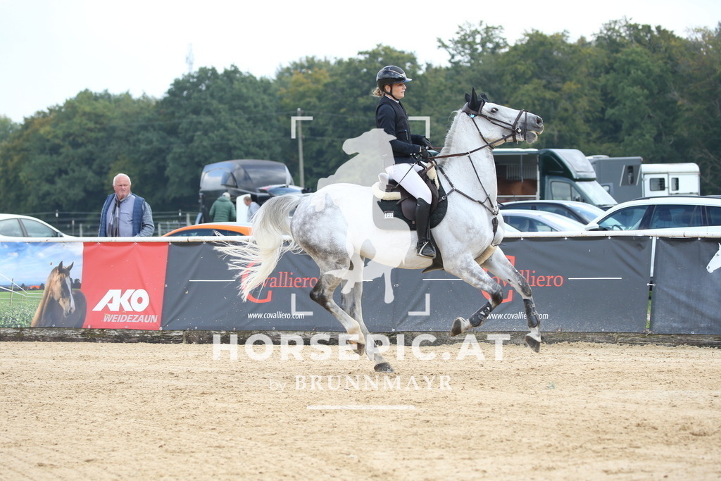 DL2Q4897 | Willkommen bei Brunnmayr - Design & Fotografie – Ihrem Spezialisten für Reitturniere und Pferdeveranstaltungen in Oberösterreich, Salzburg und Bayern! Seit über 17 Jahren sind wir leidenschaftlich dabei.