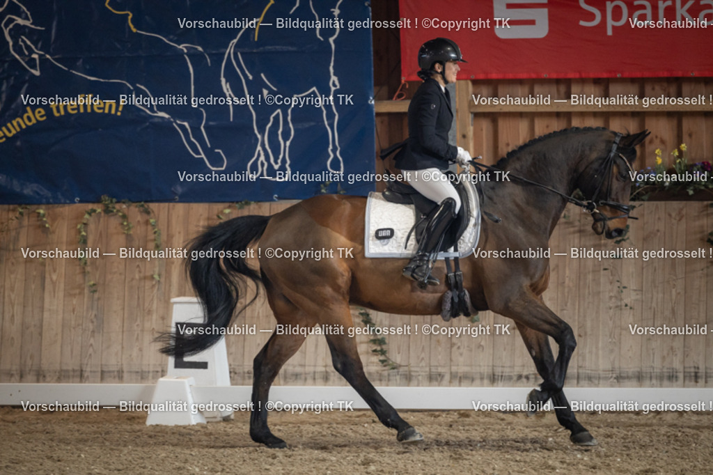 _D5A4434 | Emotionale Pferde- & People-Fotografie rund um Heidelberg, Leimen & Umgebung. Natürliche Fotos von Pferd, Mensch & Familie. Jetzt Termin sichern!