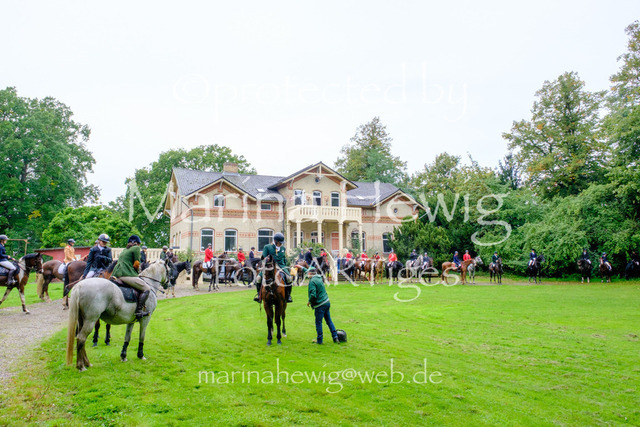 Jagd Perdoel 26 Fuji-9809_MarinaHewig | Fotografie, FotoArt, PferdesportArt, Pferdesportfotografie, Landschaftsfotografie, Reisefotografie, Reise, Pferde - Realisiert mit Pictrs.com
