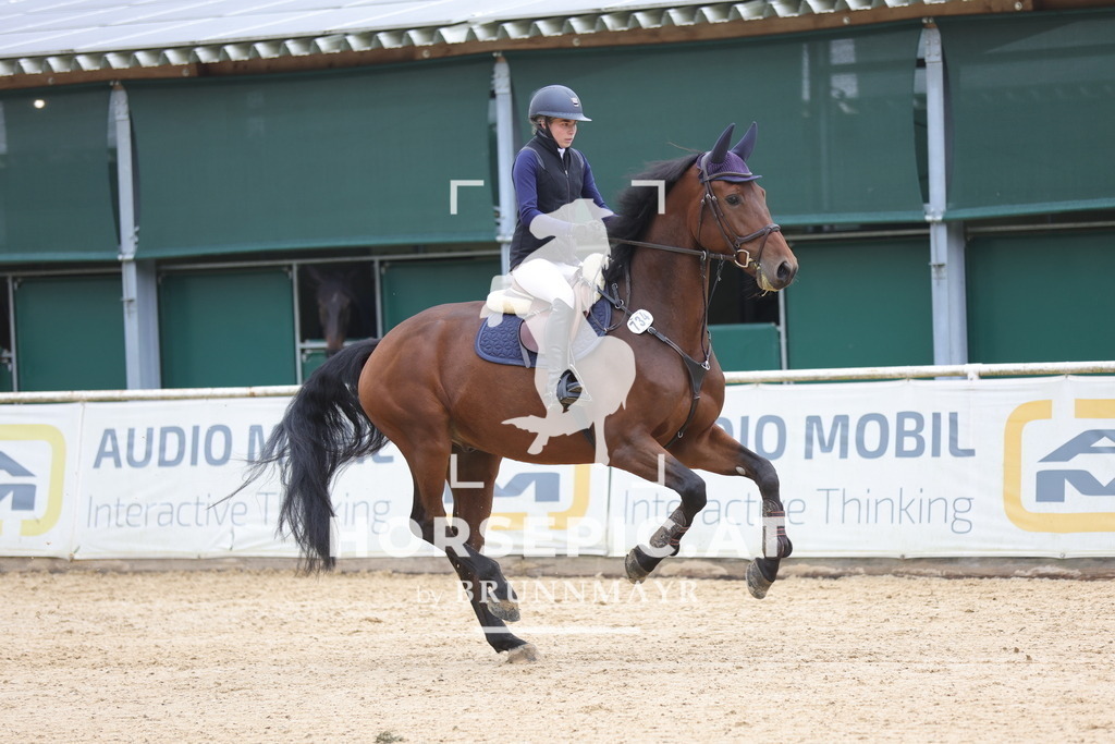 0P6A2000 | Willkommen bei Brunnmayr - Design & Fotografie – Ihrem Spezialisten für Reitturniere und Pferdeveranstaltungen in Oberösterreich, Salzburg und Bayern! Seit über 17 Jahren sind wir leidenschaftlich dabei.