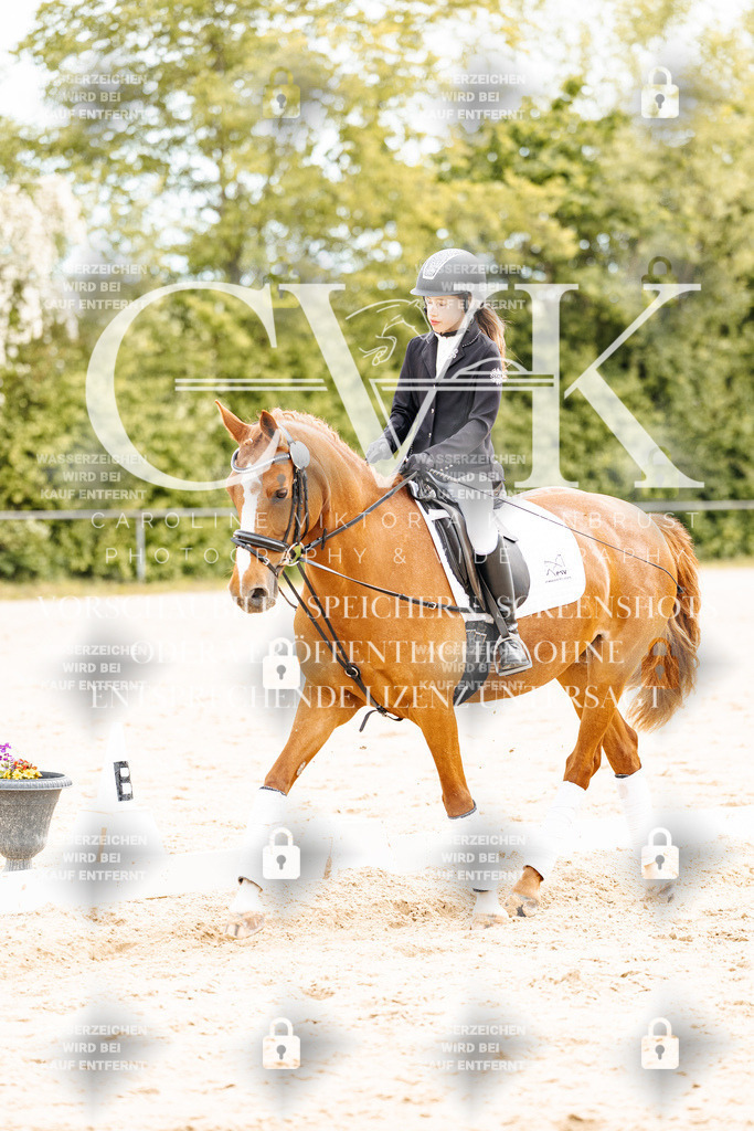 CK904688 | Turnierfotografie Pferdefotografie Trier Rheinland-Pfalz Pferdesport Reitsport Tierfotografie Sportfotografie Pferdevideo Pferdevideografie Equestrianvideography equestrianphotography  - Realisiert mit Pictrs.com