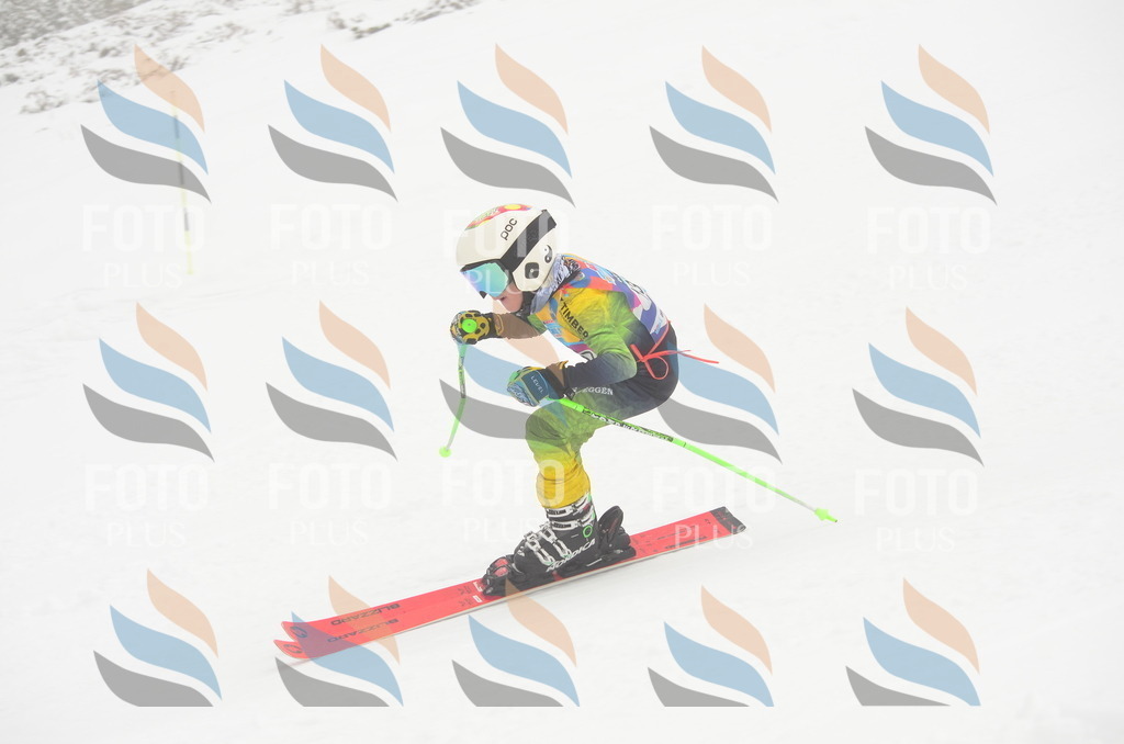 C1688 | holidayphoto