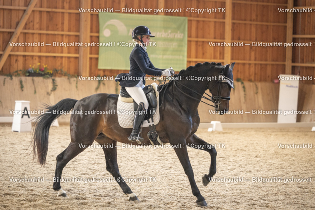 _D5A6557 | Emotionale Pferde- & People-Fotografie rund um Heidelberg, Leimen & Umgebung. Natürliche Fotos von Pferd, Mensch & Familie. Jetzt Termin sichern!