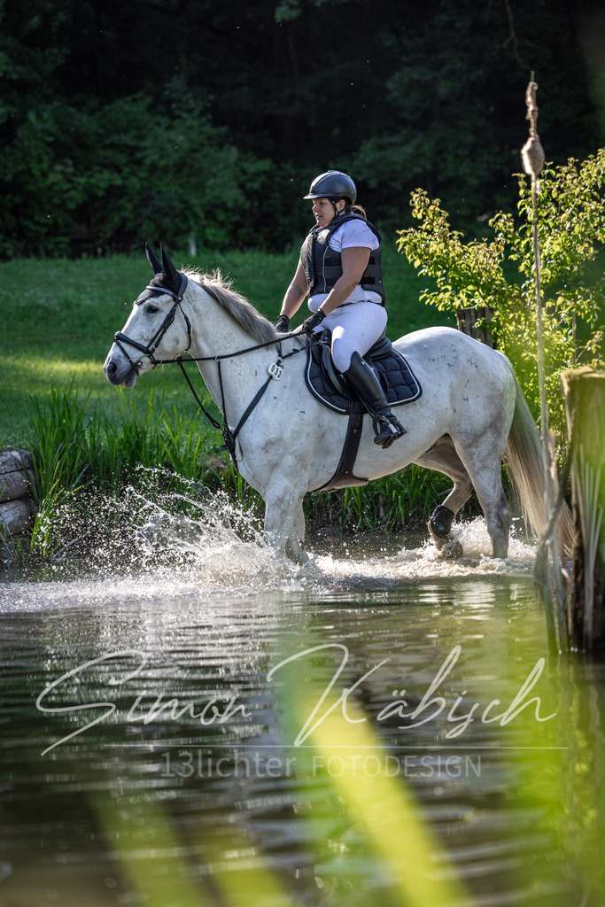 20260523-_3LI6277 | Tierfotografie Pferde, Hunde, Katzen, Haustiere.
Turnierfotografie Reitturniere, Reiten, Springreiten, Dressur in Hanau, dem Main-Kinzig-Kreis und dem Rhein-Main- Gebiet um Frankfurt