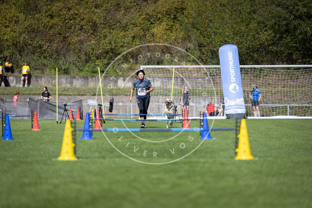 Pfotenfotografie_DV3A7604 | Hundefotografie, Tierfotograf, Pfotenfotografie, Fotoshooting Hund, Hunde Portrait, Hundesport, Hundeportraits, Heideshooting, Hunde, Sportfotograf, Hundefotograf, Turnierhundsport, THS,  - Realisiert mit Pictrs.com