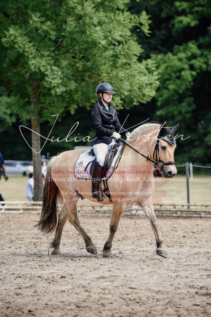 DSC_1636 | Pferde- und Turnierfotografie in Westsachsen. Pferdeportraits, Auftragszeichnungen und intuitive Kunst.