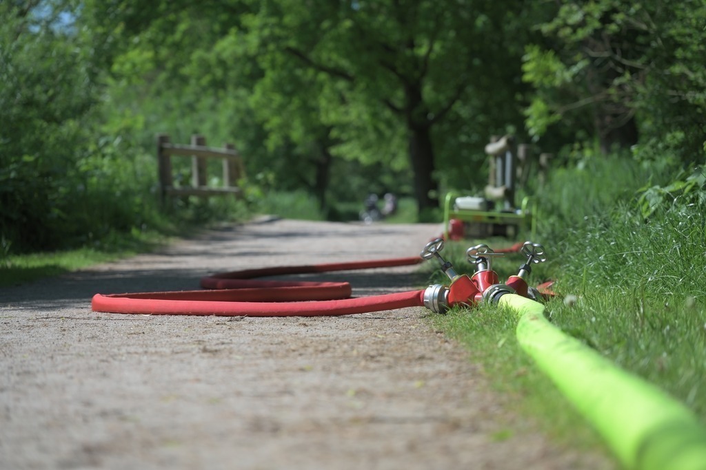 Z73_3291 | Freier Fotograf aus Itzehoe. Kontakt via instagram.com/f0t0kunst/ - Realisiert mit Pictrs.com