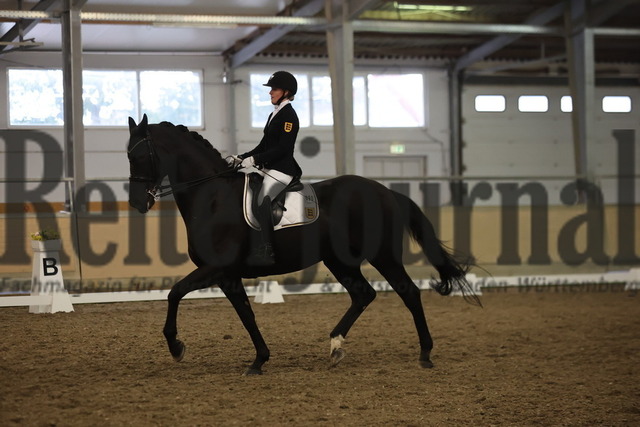 Waghäusel-Wiesental_2024_Prfg.Nr.08_1.WP_U25_Mia Rohm_Nymphenburgs Disco Fox (8) | Alle Fotos der Reiterjournal Fotografin Doris Matthaes im Reiterjournal Online-Fotoshop. - Realisiert mit Pictrs.com