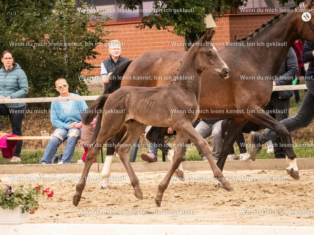 A10I1172 | photographylinaismer - Realisiert mit Pictrs.com