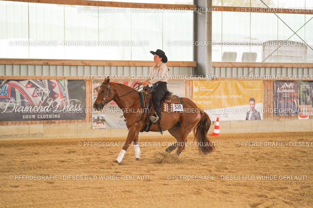 DSC00138 | Pferdegrafie