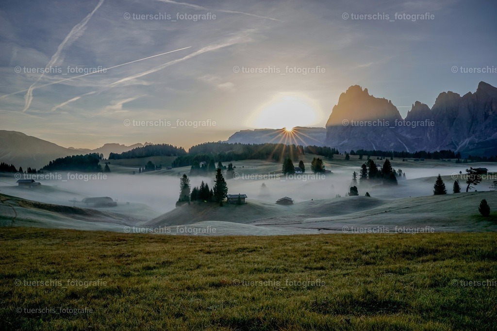 _DSC4997-01 | tuerschis_fotografie - Realisiert mit Pictrs.com