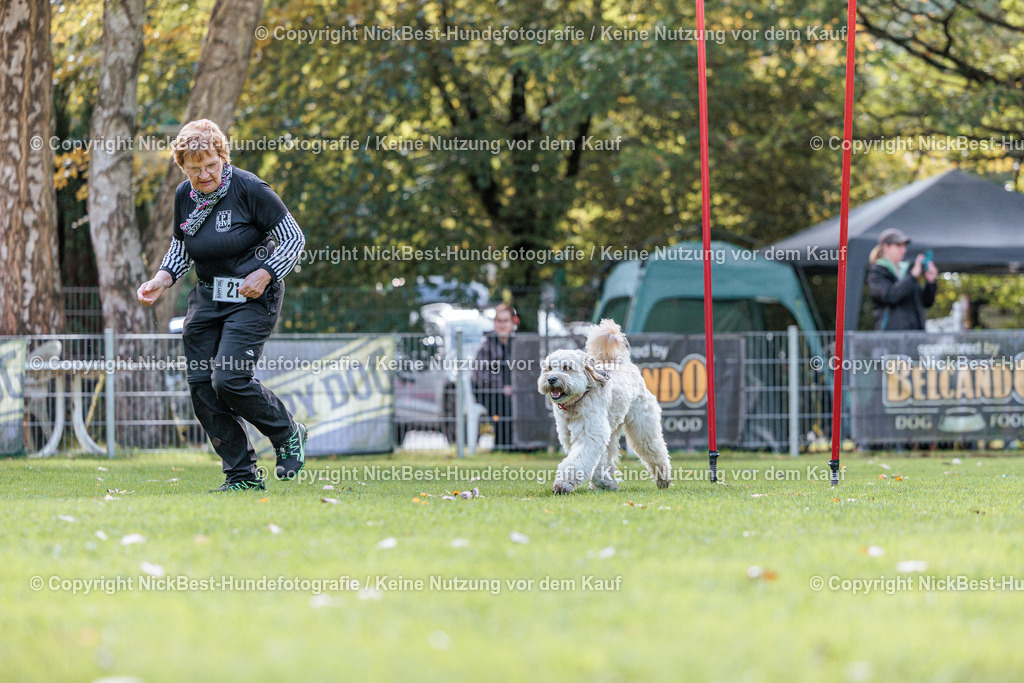 THS-HSV-Blumenthal-2026-Nickbest-Hundefotografie-2991 | Dein Hund! Dein Moment! Deine Erinnerungen! Hundefotografie in Bremen Blumenthal. Ich fange die besonderen Momente deines Vierbeiners ein – ob Indoor mit Blitzanlage oder in der freien Natur. Sicher dir dein Moment und dein Termin für eure Erinnerungen.