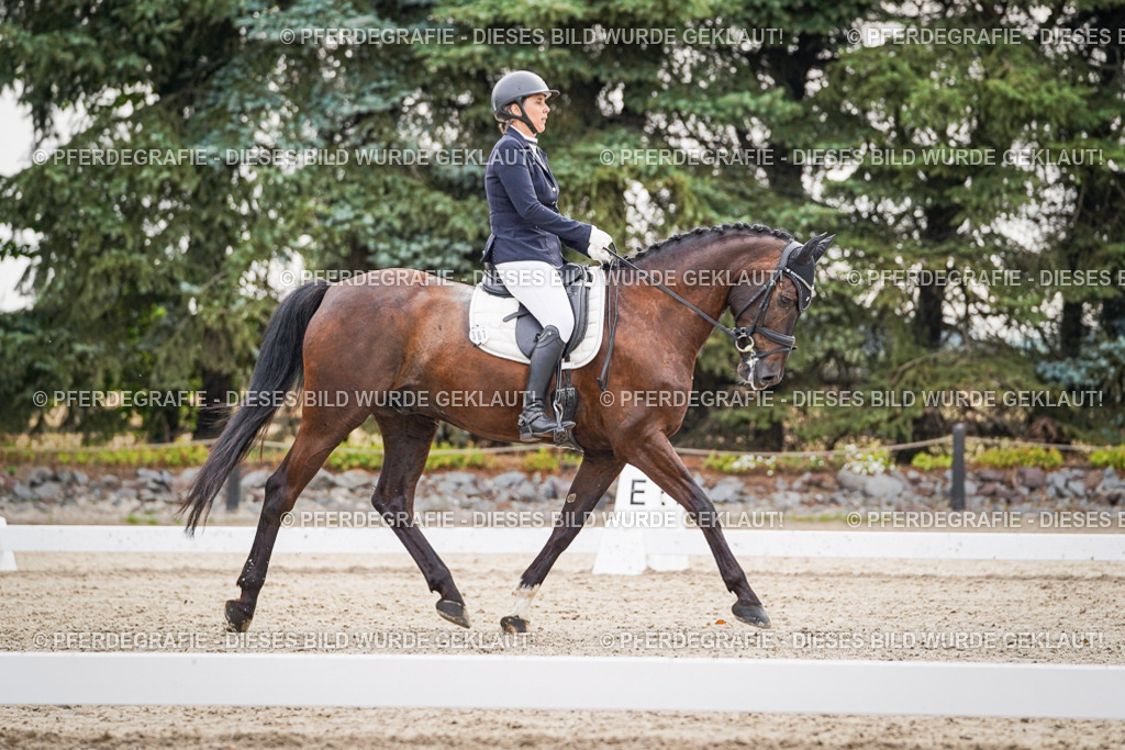 DSC00351 | Pferdegrafie