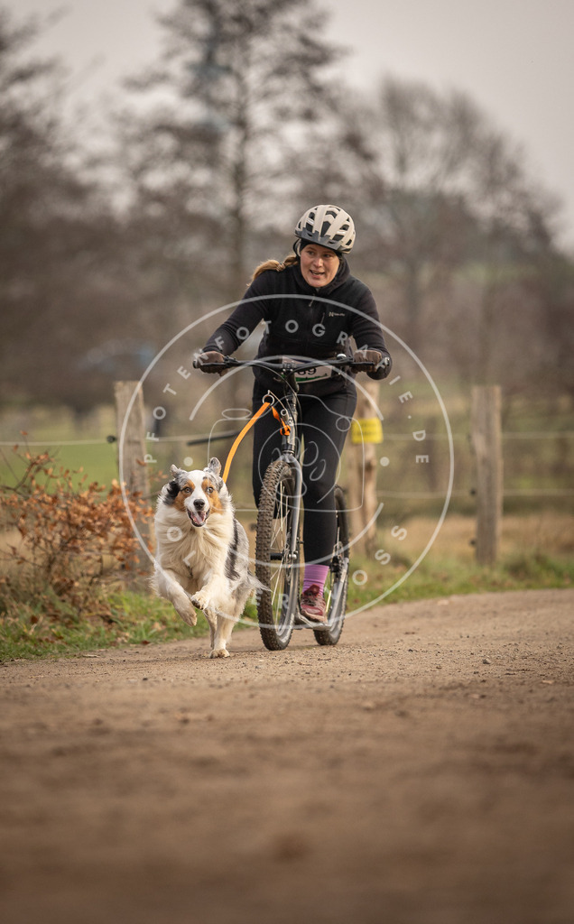 Pfotenfotografie_DV3A4198 | Hundefotografie, Tierfotograf, Pfotenfotografie, Fotoshooting Hund, Hunde Portrait, Hundesport, Hundeportraits, Heideshooting, Hunde, Sportfotograf, Hundefotograf, Turnierhundsport, THS,  - Realisiert mit Pictrs.com