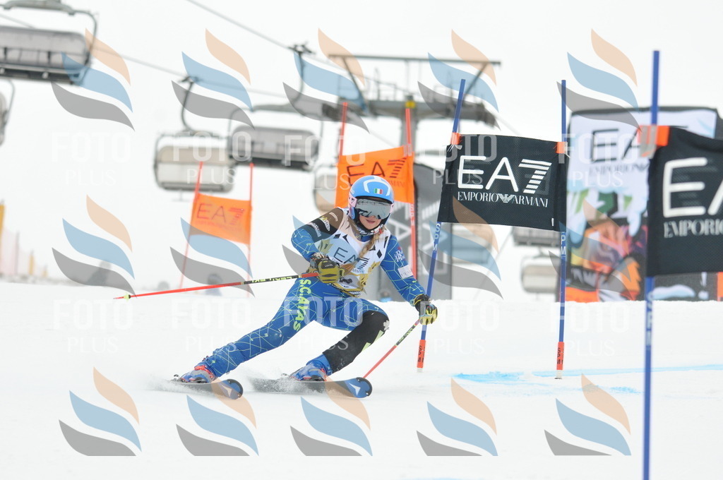 DSC_8180 | holidayphoto