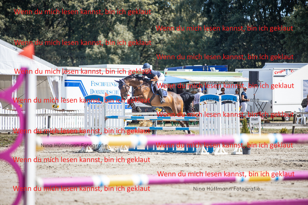 BK1A6476 | Turnierbilder Turnierfotos Nina Hüffmann Turnierfotografie Pferdefotografie Tierzeichnung Haustierzeichnung Pferdezeichnung Hundezeichnung Videograf  - Realisiert mit Pictrs.com