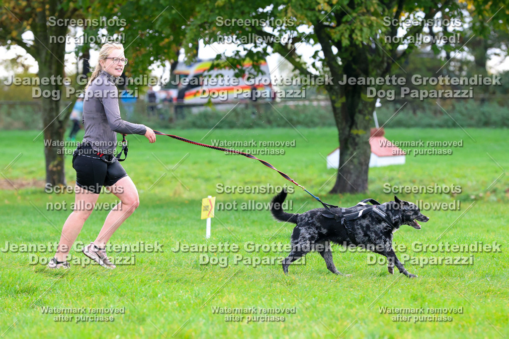Dog Paparazzi -  SD1026-2141 | Dog Paparazzi Jeanette Grottendiek Fotografie & Videografie - Realisiert mit Pictrs.com