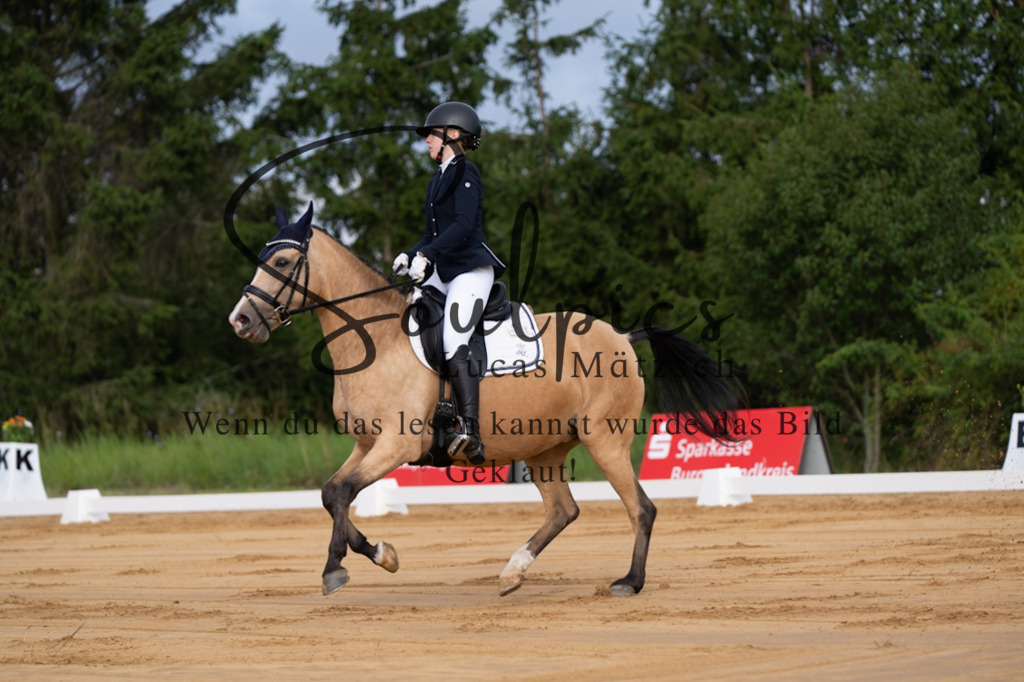 A7V05090 | Pferdefotograf