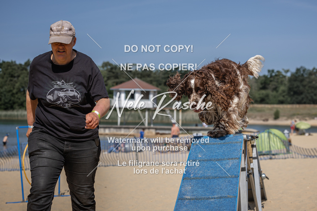 nelerasche_saBeachility_350 | nelerasche
