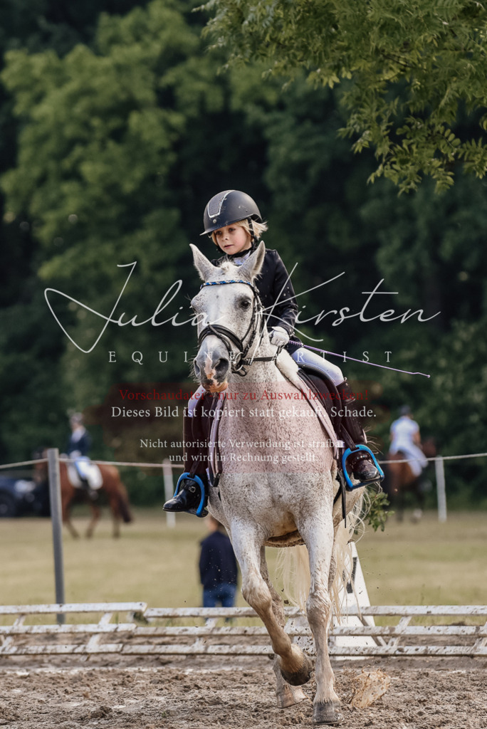 DSC_8352 | Pferde- und Turnierfotografie in Westsachsen. Pferdeportraits, Auftragszeichnungen und intuitive Kunst.