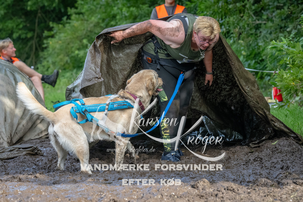 1701_ZZ90806-Bearbeitet | kk-dogfotos