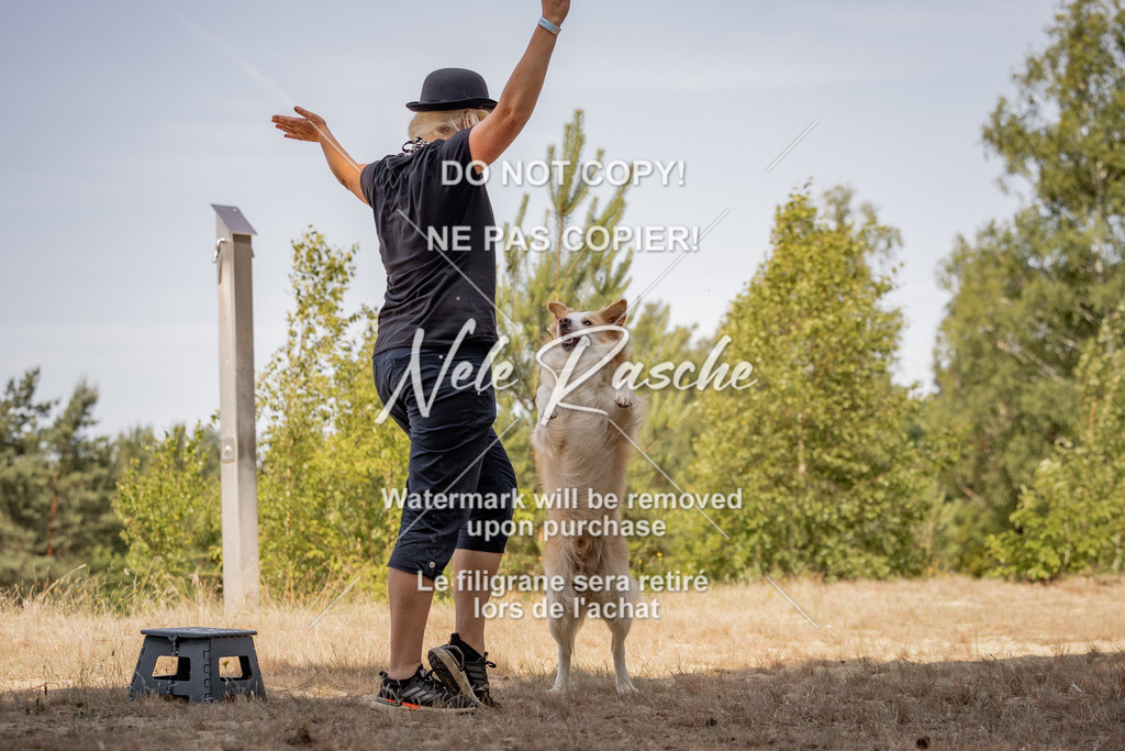 nelerasche_soDD2_141 | nelerasche