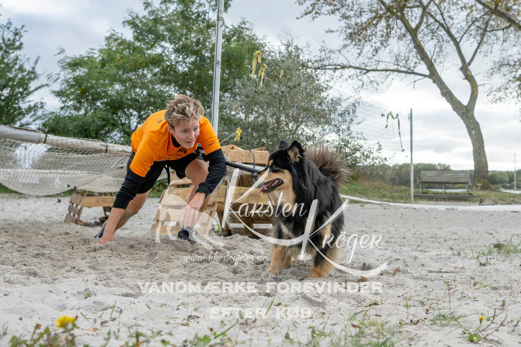 1517_ZZ94094 | kk-dogfotos