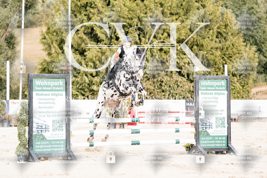 CK908920 | Turnierfotografie Pferdefotografie Trier Rheinland-Pfalz Pferdesport Reitsport Tierfotografie Sportfotografie Pferdevideo Pferdevideografie Equestrianvideography equestrianphotography  - Realisiert mit Pictrs.com