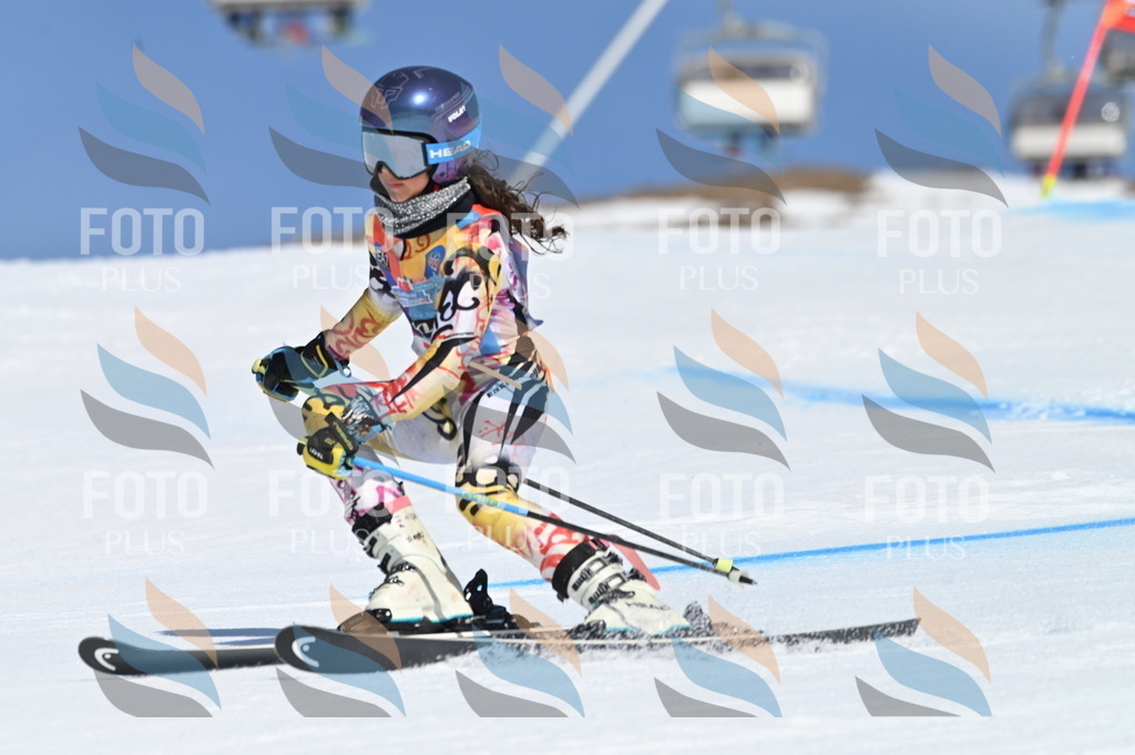 BGV_8986 | holidayphoto