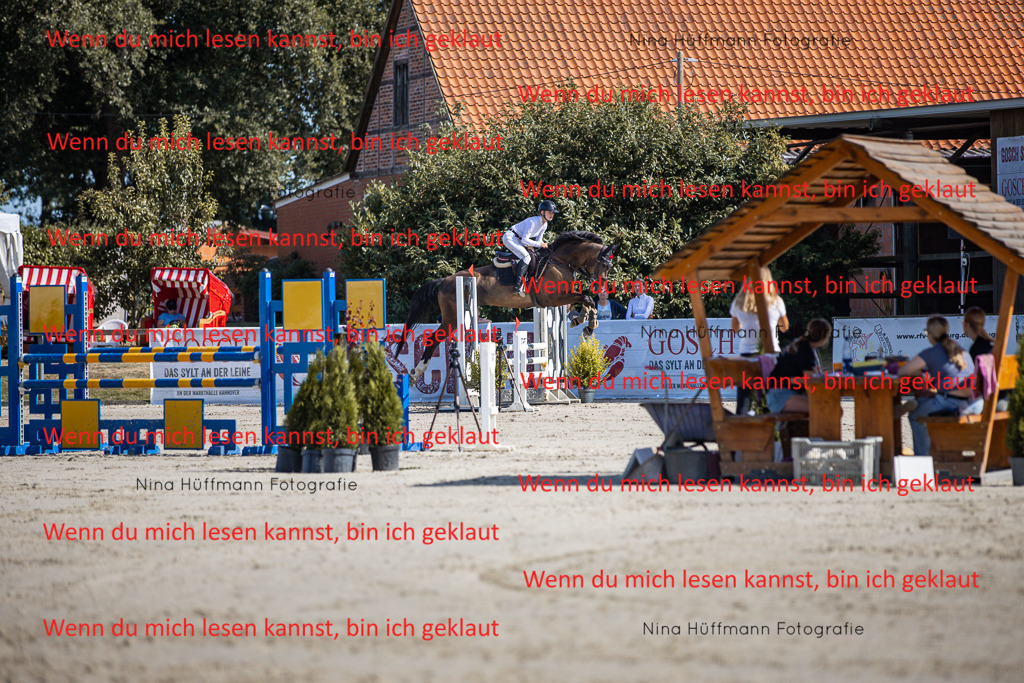 BK1A7036 | Turnierbilder Turnierfotos Nina Hüffmann Turnierfotografie Pferdefotografie Tierzeichnung Haustierzeichnung Pferdezeichnung Hundezeichnung Videograf  - Realisiert mit Pictrs.com