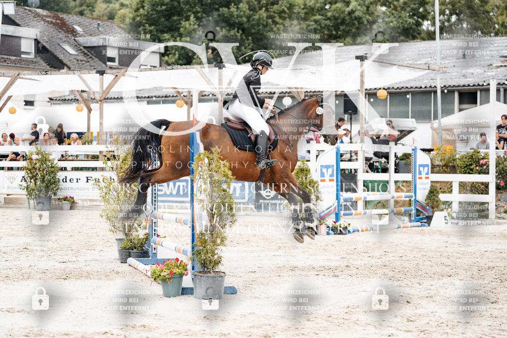 CK908481 | Turnierfotografie Pferdefotografie Trier Rheinland-Pfalz Pferdesport Reitsport Tierfotografie Sportfotografie Pferdevideo Pferdevideografie Equestrianvideography equestrianphotography  - Realisiert mit Pictrs.com