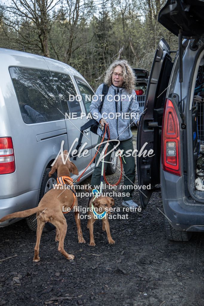 NR__0144-2 | nelerasche