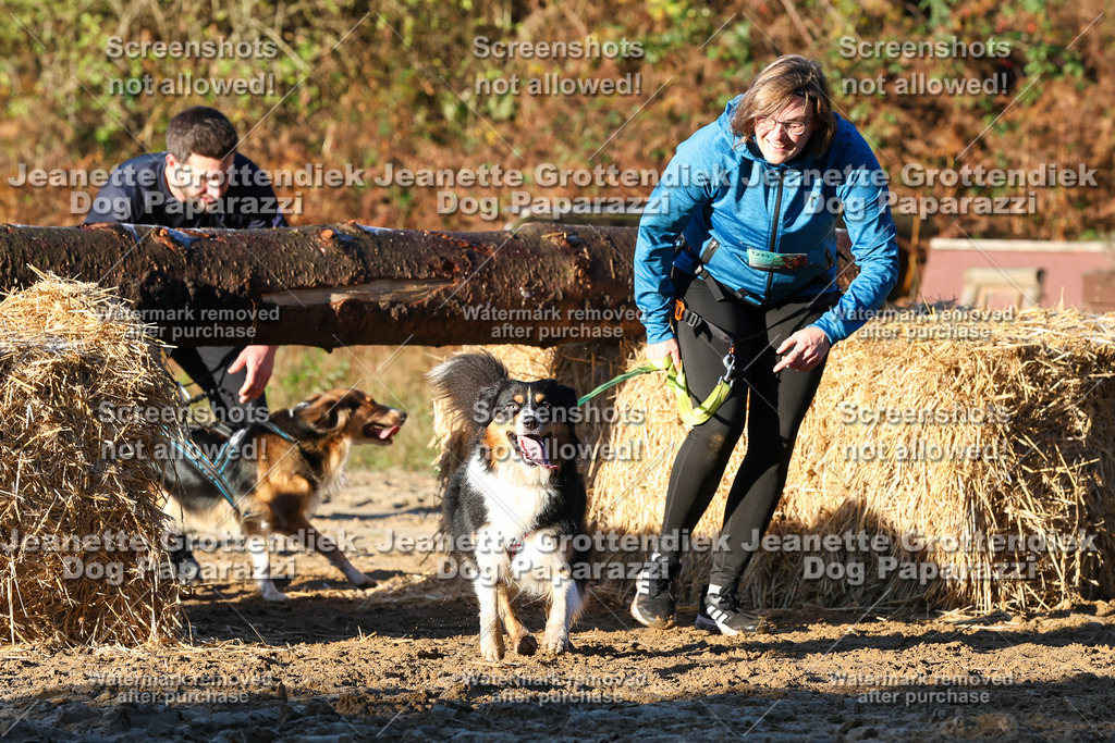 Dog Paparazzi - Strongdog 10-25-951 | Dog Paparazzi Jeanette Grottendiek Fotografie & Videografie - Realisiert mit Pictrs.com