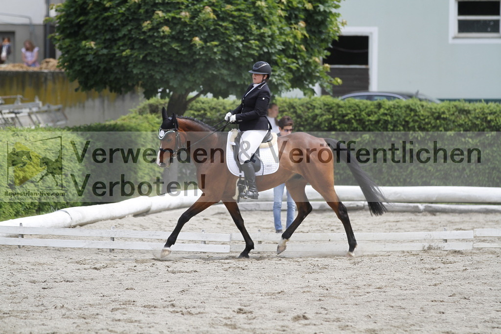 _MG_8860 | equestrian-live-com