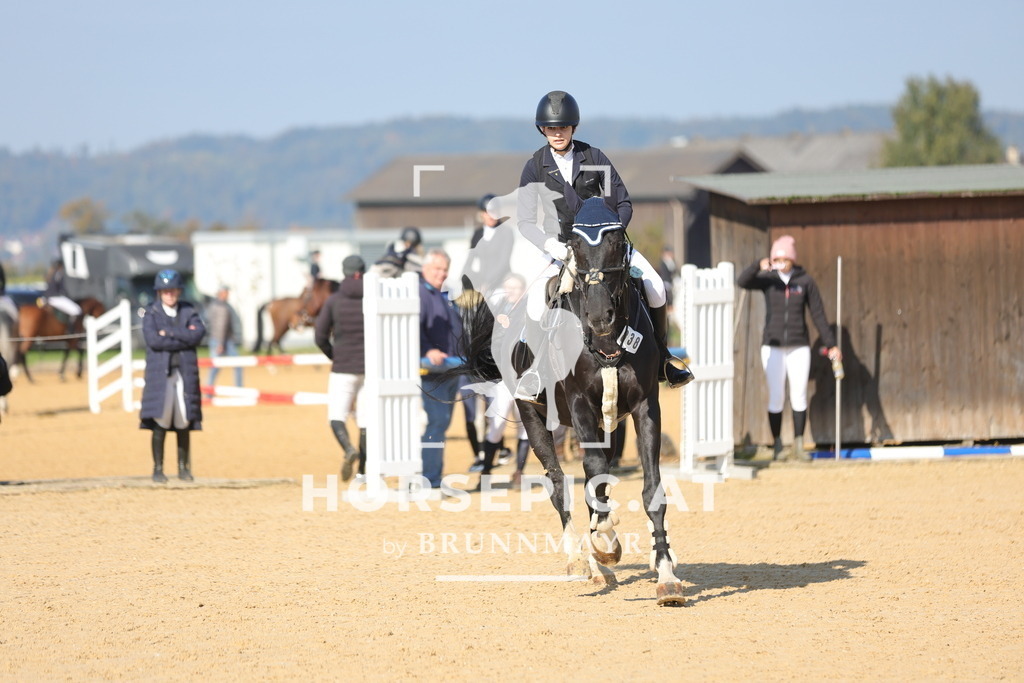 0P6A8038 | Willkommen bei Brunnmayr - Design & Fotografie – Ihrem Spezialisten für Reitturniere und Pferdeveranstaltungen in Oberösterreich, Salzburg und Bayern! Seit über 17 Jahren sind wir leidenschaftlich dabei.