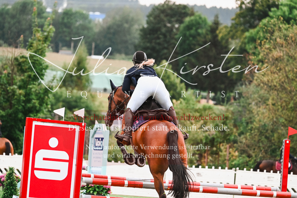 DSC_6482 | Pferde- und Turnierfotografie in Westsachsen. Pferdeportraits, Auftragszeichnungen und intuitive Kunst.