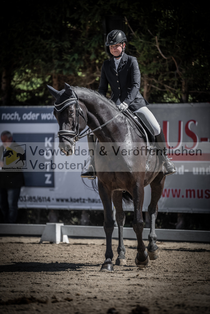 DSC_0206 | equestrian-live-com