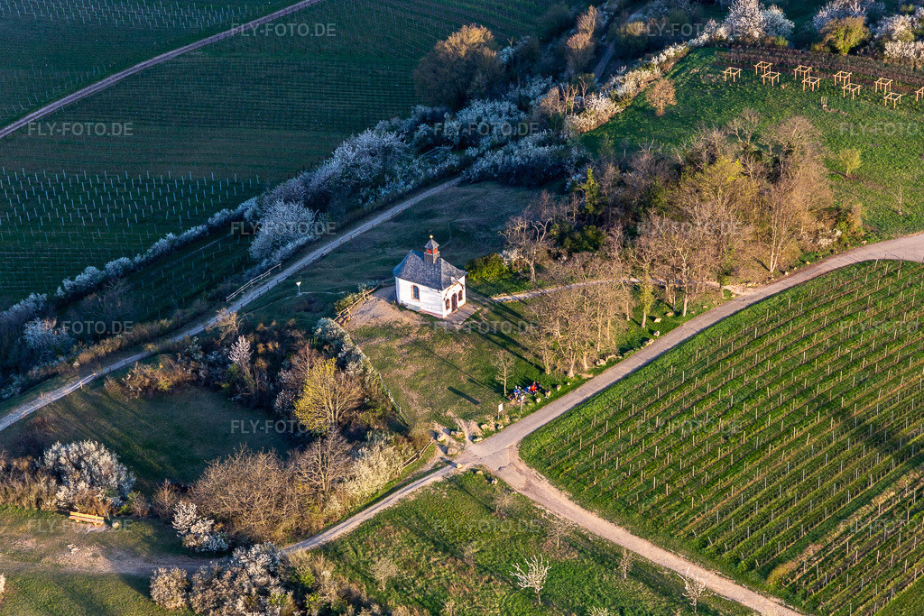 Luftbild: Kapelle im Naturschutzgebiet Kleine Kalmit in der Pfalz in Ilbesheim bei Landau im Bundesland Rheinland-Pfalz in Deutschland. Foto: IMG_126237.jpg vom 04.04.2021 durch Werner Riehm/FLY-FOTO.de