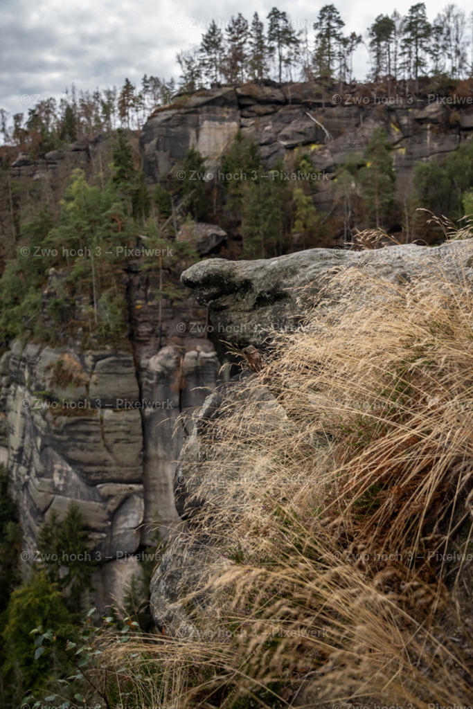 Frienstein_Idagrotte_Obere_Affensteinpromenade_Gras_Felsen | 2022-09-02_Waldbrandgebiete_2 - Realisiert mit Pictrs.com