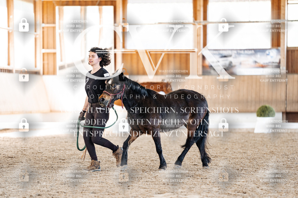 CK906850 | Turnierfotografie Pferdefotografie Trier Rheinland-Pfalz Pferdesport Reitsport Tierfotografie Sportfotografie Pferdevideo Pferdevideografie Equestrianvideography equestrianphotography  - Realisiert mit Pictrs.com