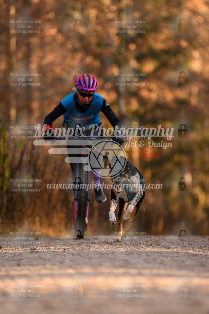 MompixPhotography_DM_AKDM_SO_2025_Scooter-113 | PayLife