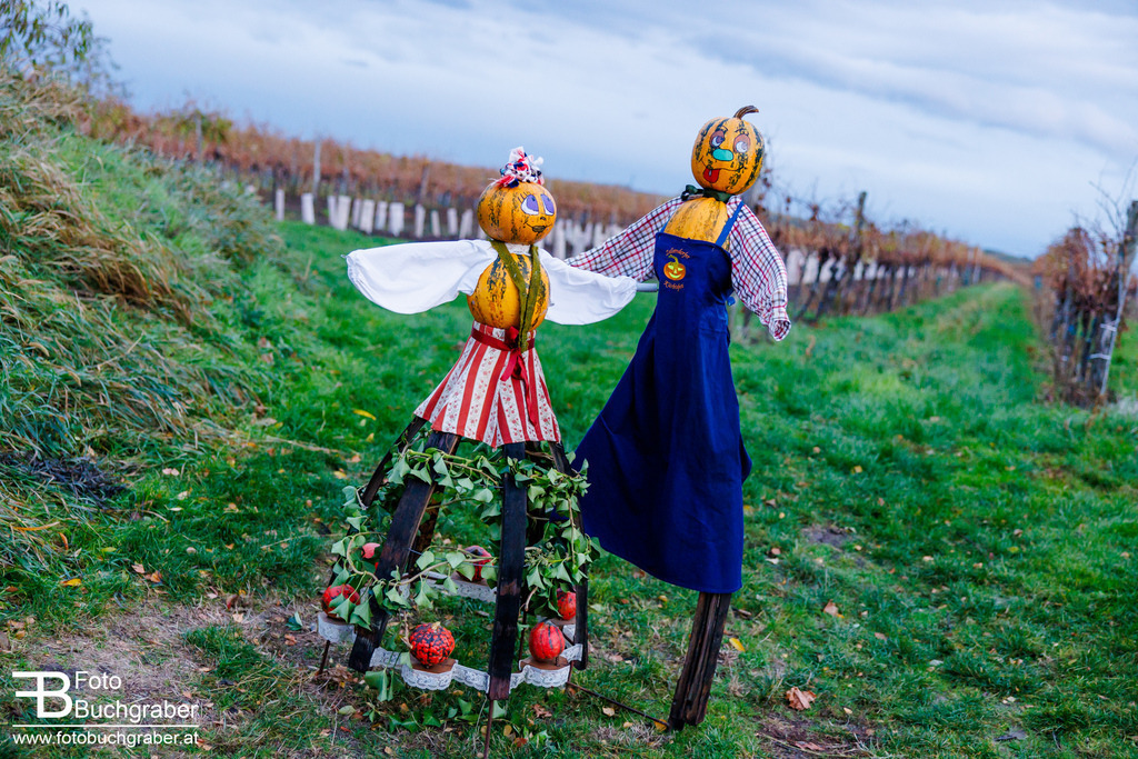 0154_B5_13187 | Foto Buchgraber