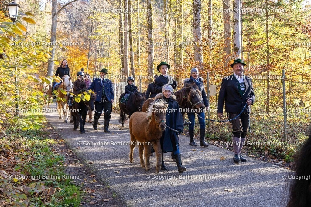 LL24-361 | foto-bettina-krinner - Realisiert mit Pictrs.com