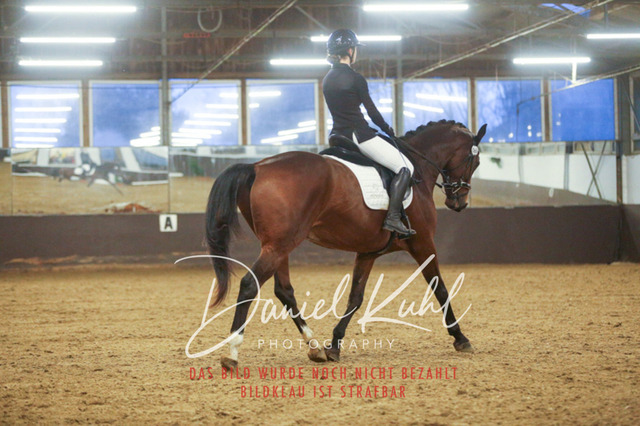 IMG_8355 | Turniersportfotografie; Pferdefotografie; Dressurfotografie