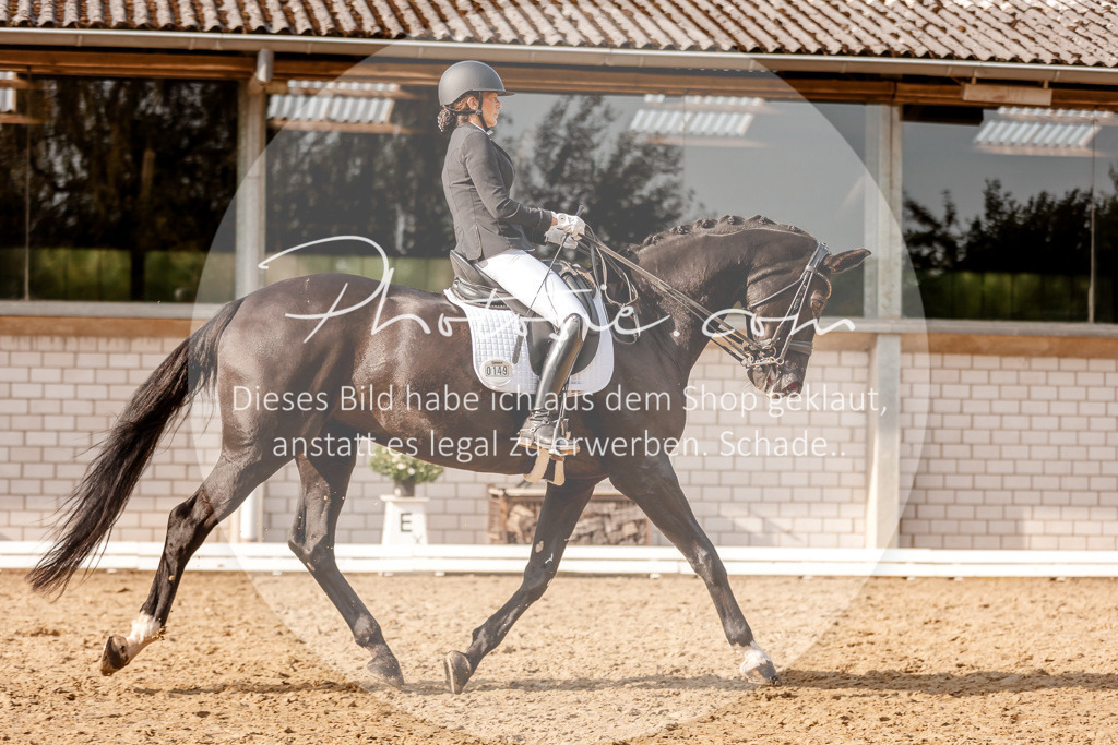 3I6A3018 | Stimmungsvolle Portraits und Reitsportfotografie im Ruhrgebiet und im Münsterland.

Pferdefotografie, Hundefotografie, Tierfotografie, Reportagen, Portraits von Tier und Mensch, Turnierfotografie in Bochum, Recklinghausen, Marl, Haltern am See, Dülmen.. - Realisiert mit Pictrs.com