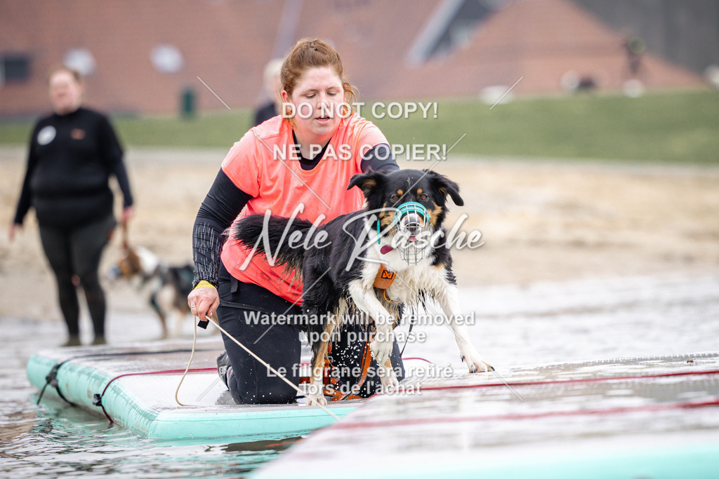 nelerasche_Hulsbeek_Sa1100-1130_767 | nelerasche