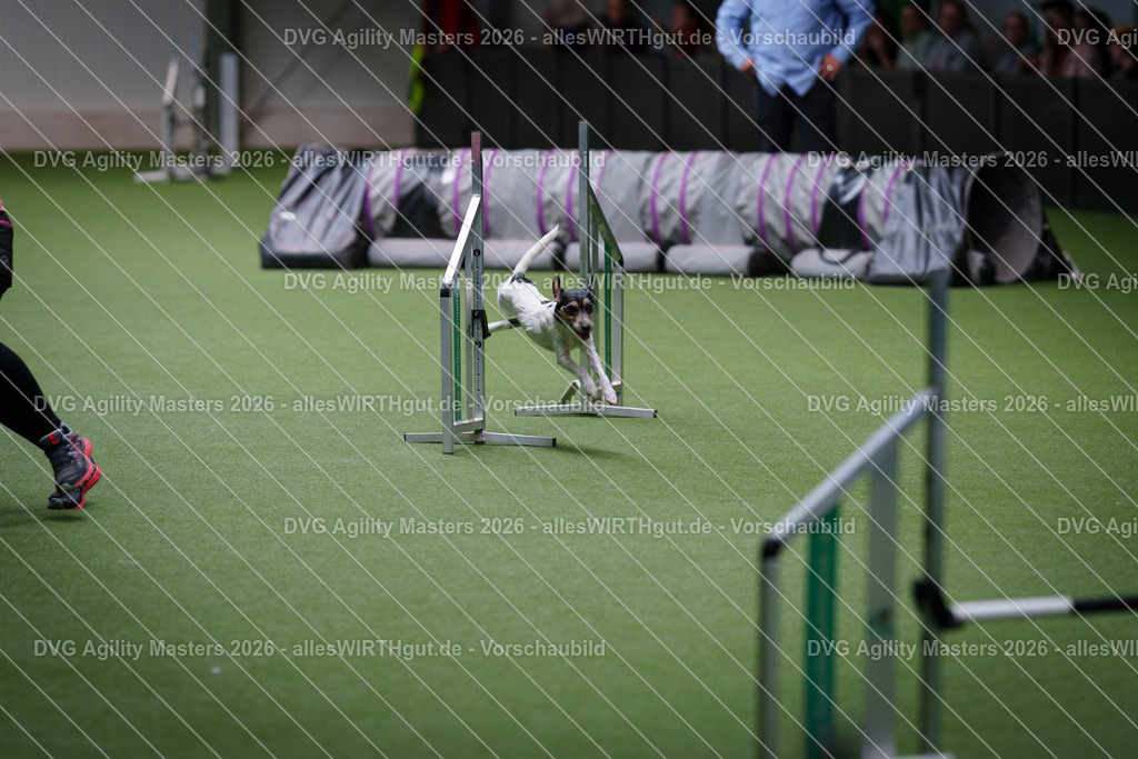 allesWIRTHgut_Tierfotografie-DVG_Agility_Masters_2026-11_09-7R504994 | Professionelle Tierfotografie in Mönchengladbach von Daniel Wirth (allesWIRTHgut). Liebevolle & natürliche Bilder von Hunden & Katzen für unvergessliche Erinnerungen.