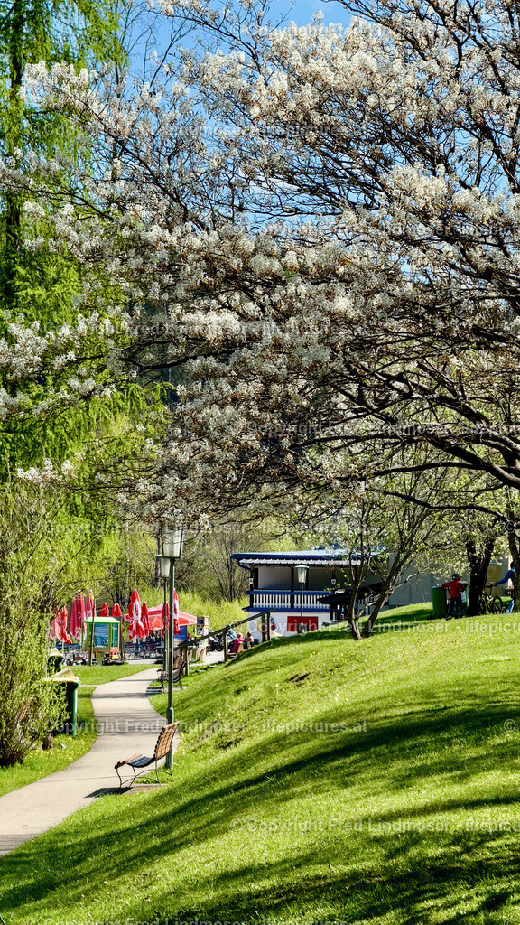 Erlaufsee Mariazell IMG_1059 _Fred Lindmoser | Fotos und Fotoprodukte - Realisiert mit Pictrs.com